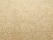 Thumb_2806_21_1