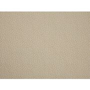 Thumb_2805_21_1