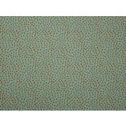 Thumb_2805_75_1