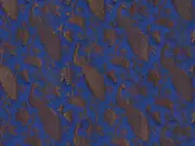 Thumb_244_71_1
