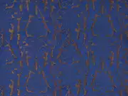 Thumb_246_71_1