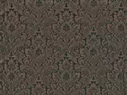 Thumb_251_70_1