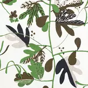 Thumb_f916208_1