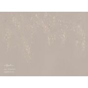 Thumb_0034_br1_bronza_1