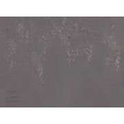 Thumb_0034_a_presto_1