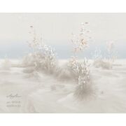 Thumb_0032_b_presto_1