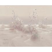 Thumb_0032_s1_ardzhento_1