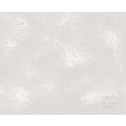 Thumb_vr_0038_a_presto_1