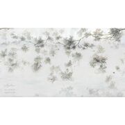 Thumb_0036_s1_ardzhento_1