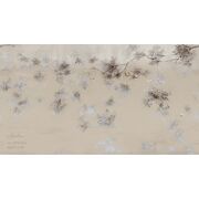 Thumb_0036_br2_bronza_1