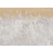 Thumb_0037_br1_bronza_1