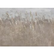 Thumb_0037_s2_ardzhento_1