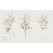 Thumb_vr_0039_a_presto_1