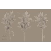 Thumb_vr_0039_s1_ardzhento_1