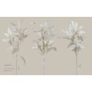 Thumb_vr_0039_b_presto_1