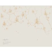 Thumb_vr_0033_g1_oro_1