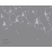 Thumb_vr_0033_s2_ardzhento_1