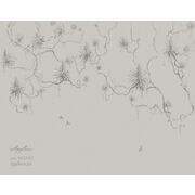 Thumb_0033_s1_ardzhento_1