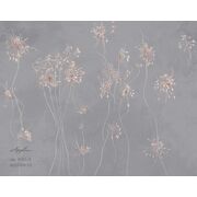 Thumb_0041_a_presto_1