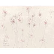 Thumb_0041_b_presto_1