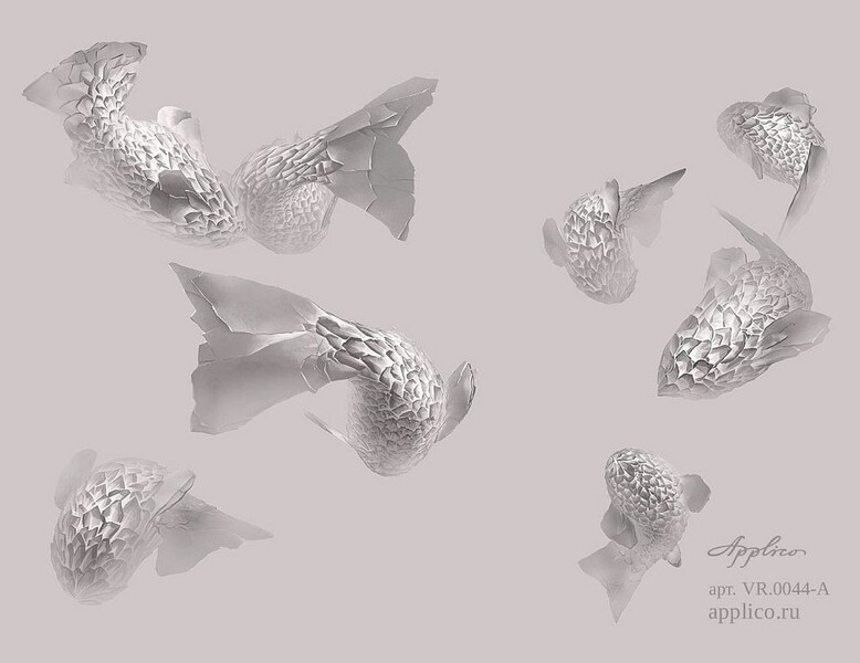 Big_vr_0044_a_presto_1