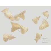 Thumb_vr_0044_br1_bronza_1