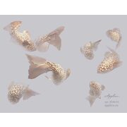 Thumb_vr_0044_s1_ardzhento_1