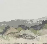 Thumb_art17_005_1