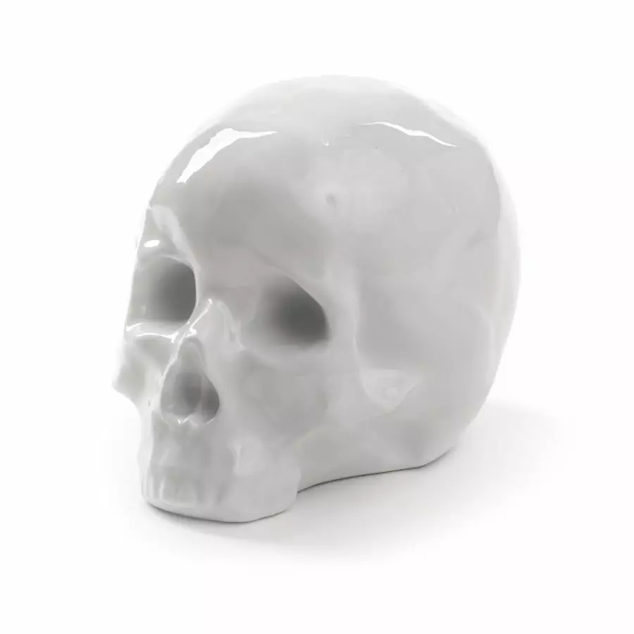 Big_statuetka_my_skull_1