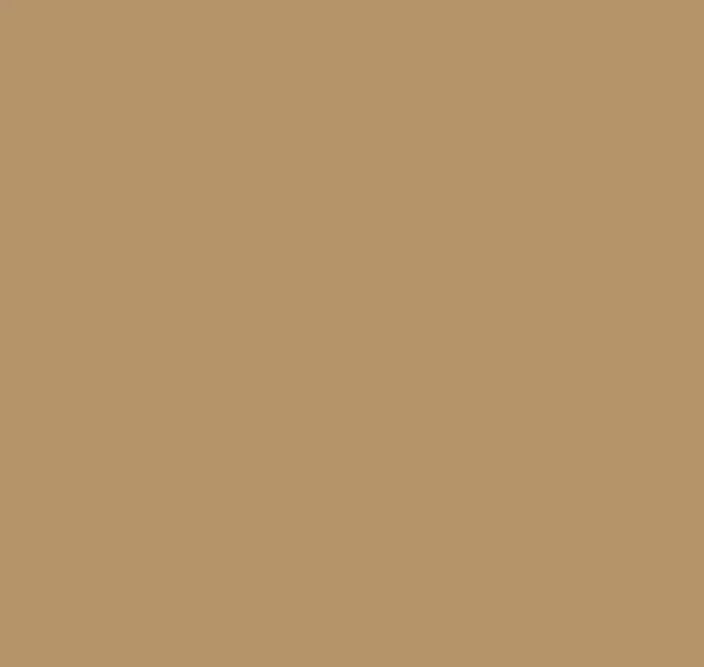 Big_ok7_004_2_1
