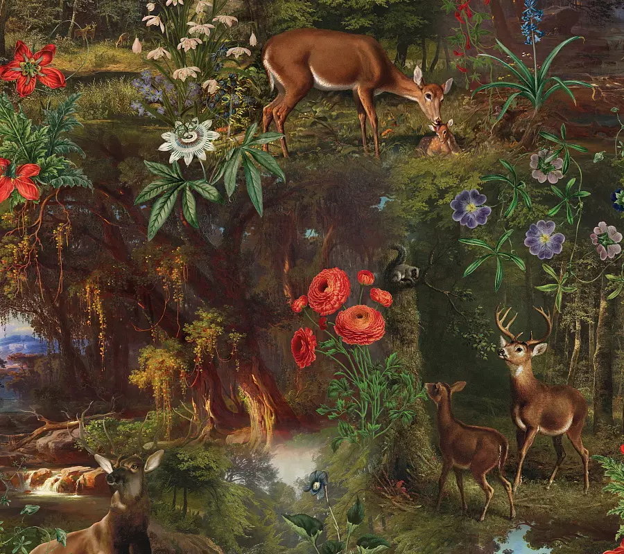 Big_nmc0bhkvj46q3vd5g0x2zoxzzwbe78l2