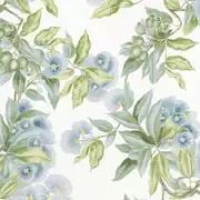 Thumb_af24549_1