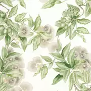 Thumb_af24551_1