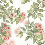 Thumb_af24550_1