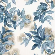 Thumb_af24553_1