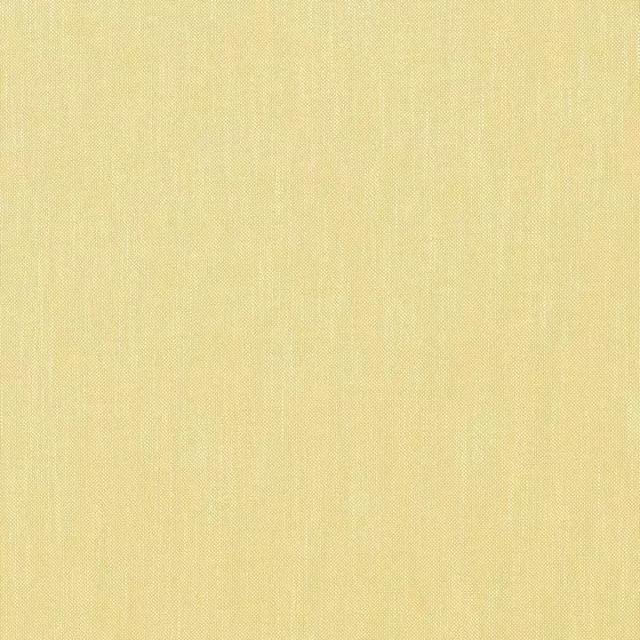 Big_w81768_1