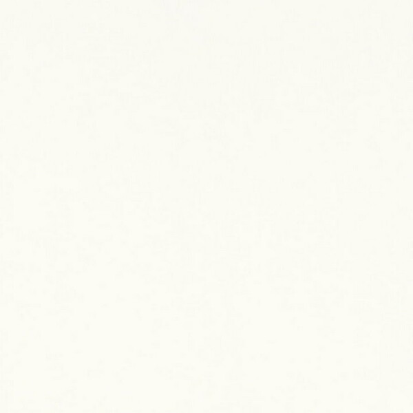 Big_w81734_1