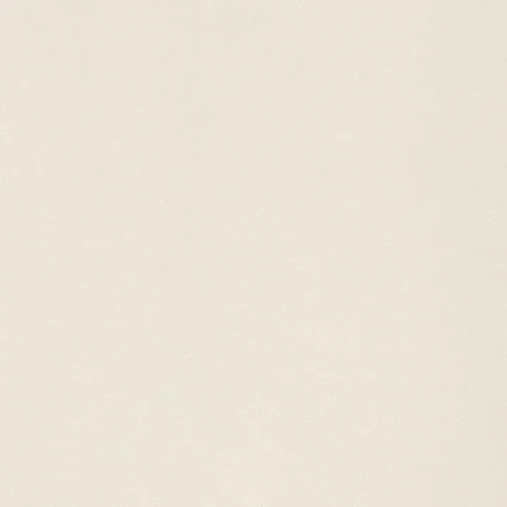 Big_w81735_1