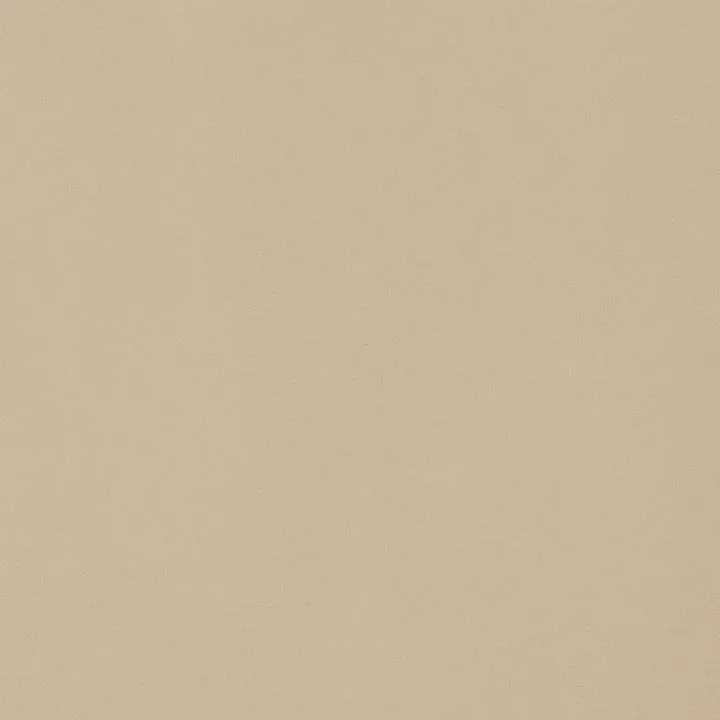 Big_w81736_1