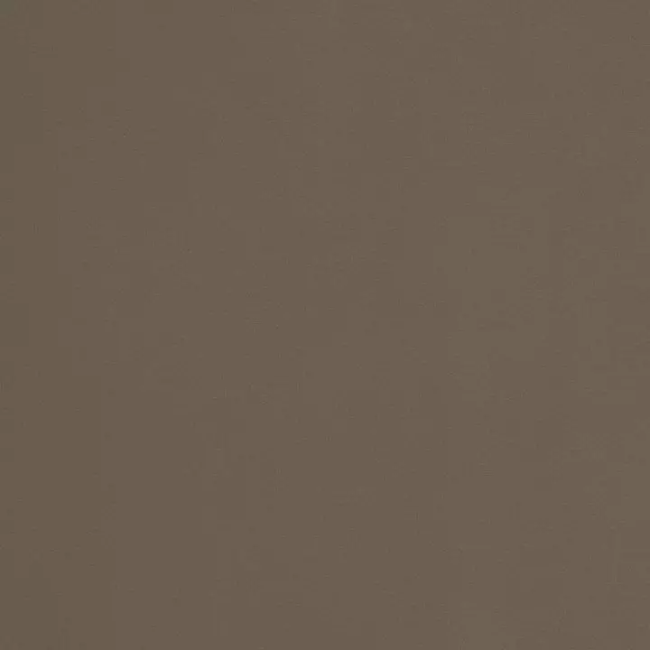 Big_w81738_1