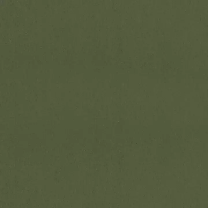 Big_w81740_1
