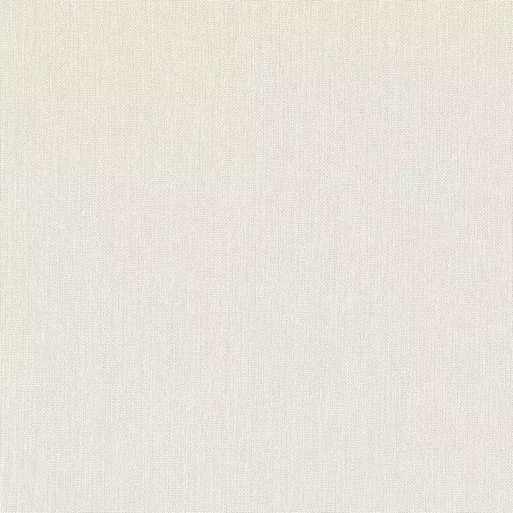 Big_w81756_1