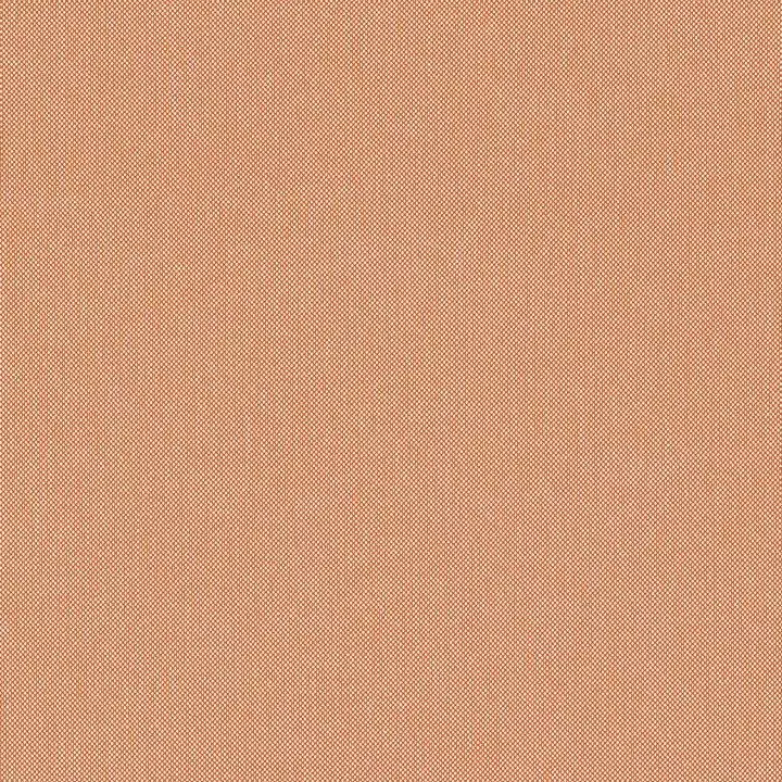 Big_w81758_1