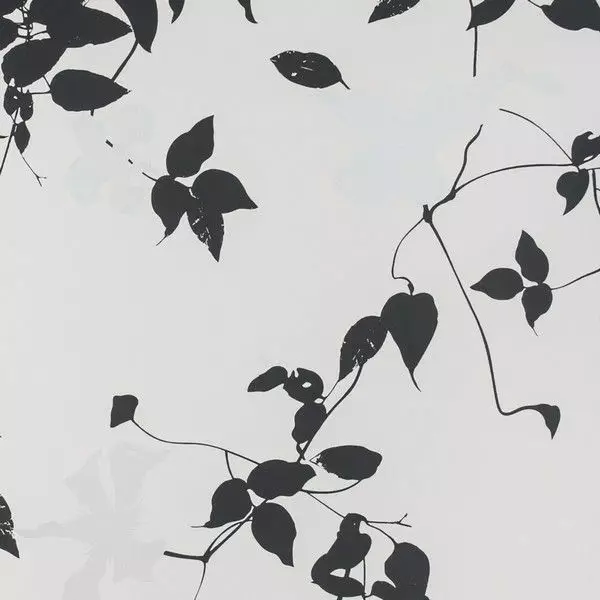 Big_393023_fn_1