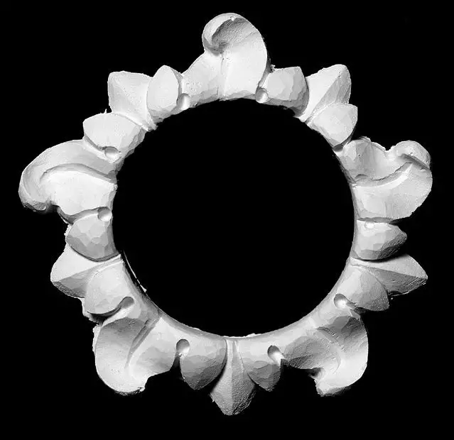 Big_ring_101_1