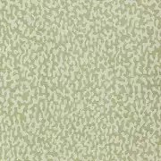 Thumb_52ct_l_1