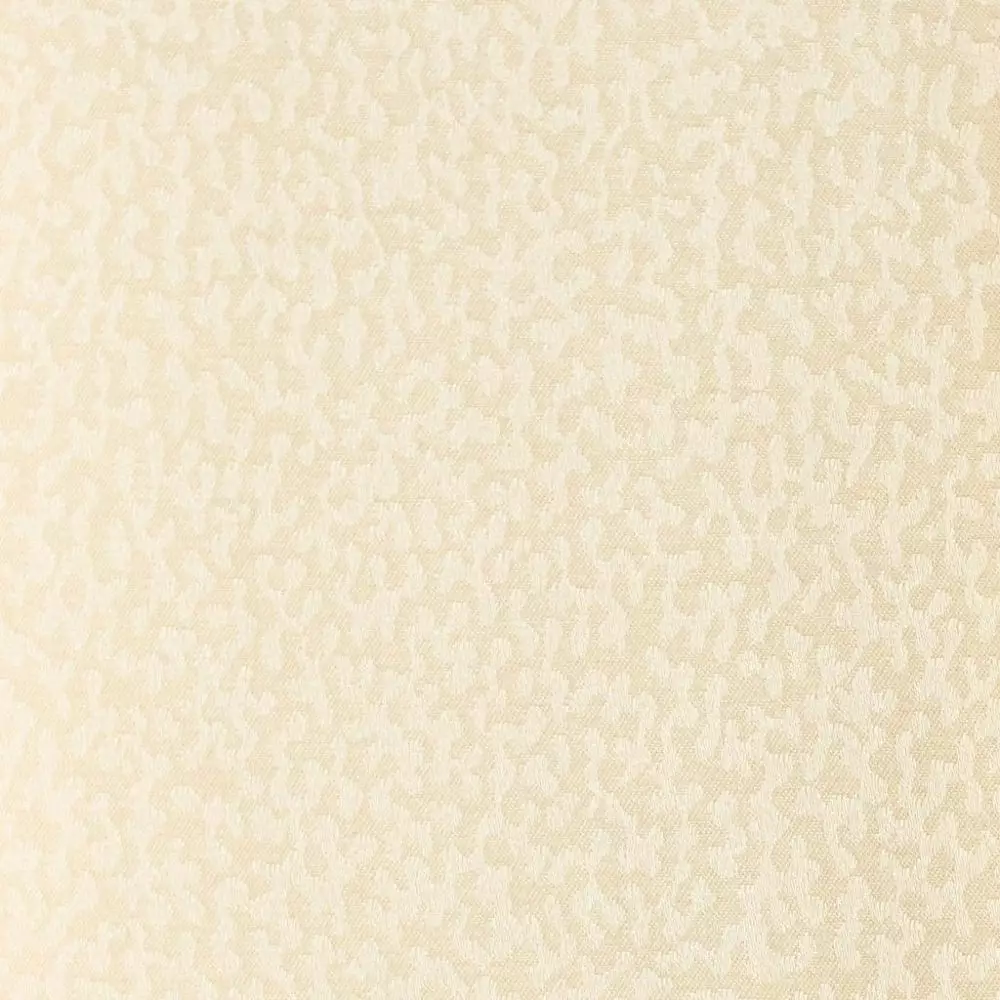 Big_6ct_l_1