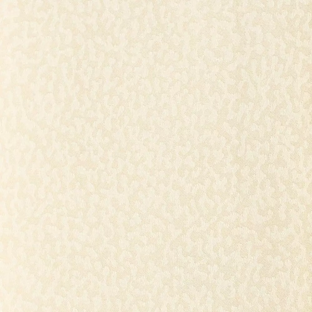 Big_8ct_l_1