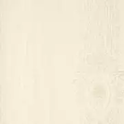 Thumb_72p_1