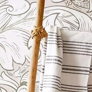 Thumb_3tsfawe6a0udh1umnwtadqrkqlw0m23x